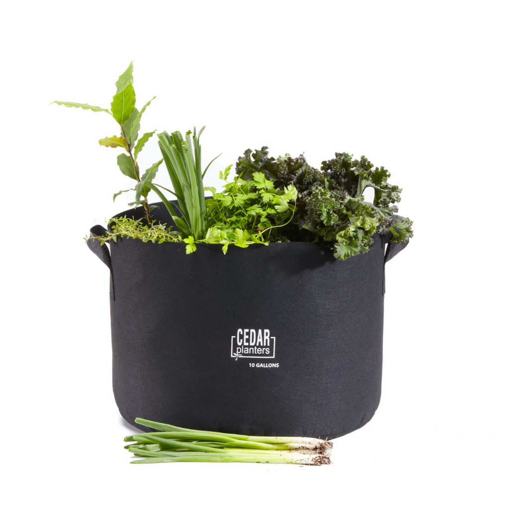 Grow Bag