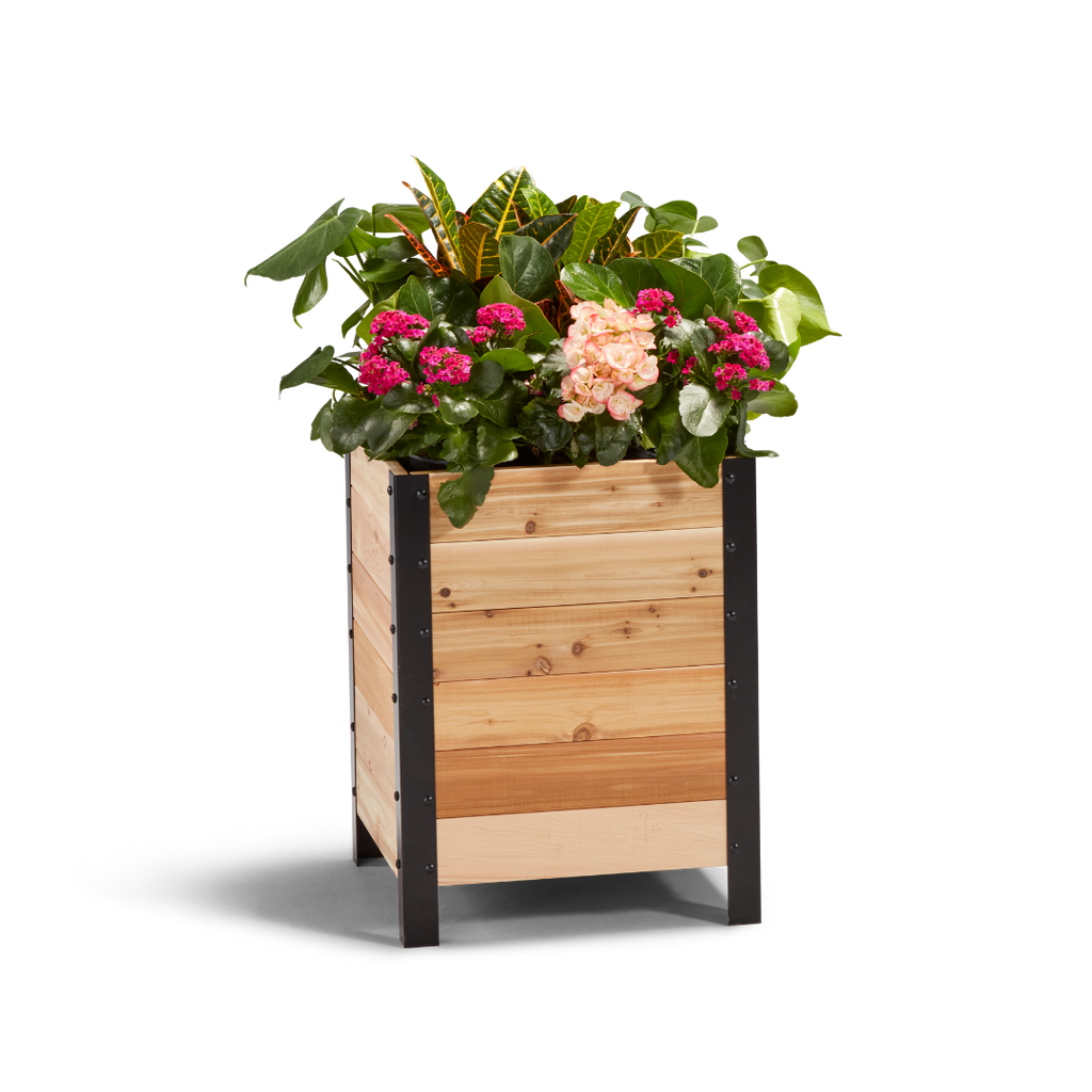 18″ x 18″ Deep Root Planter Box - 24″ TALL - Select Grade