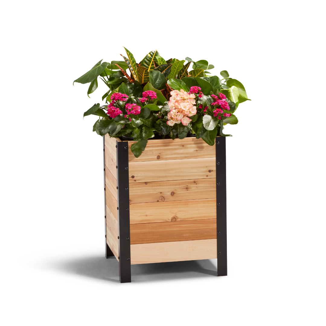 18″ x 18″ Deep Root Planter Box - 24″ TALL - Select Grade