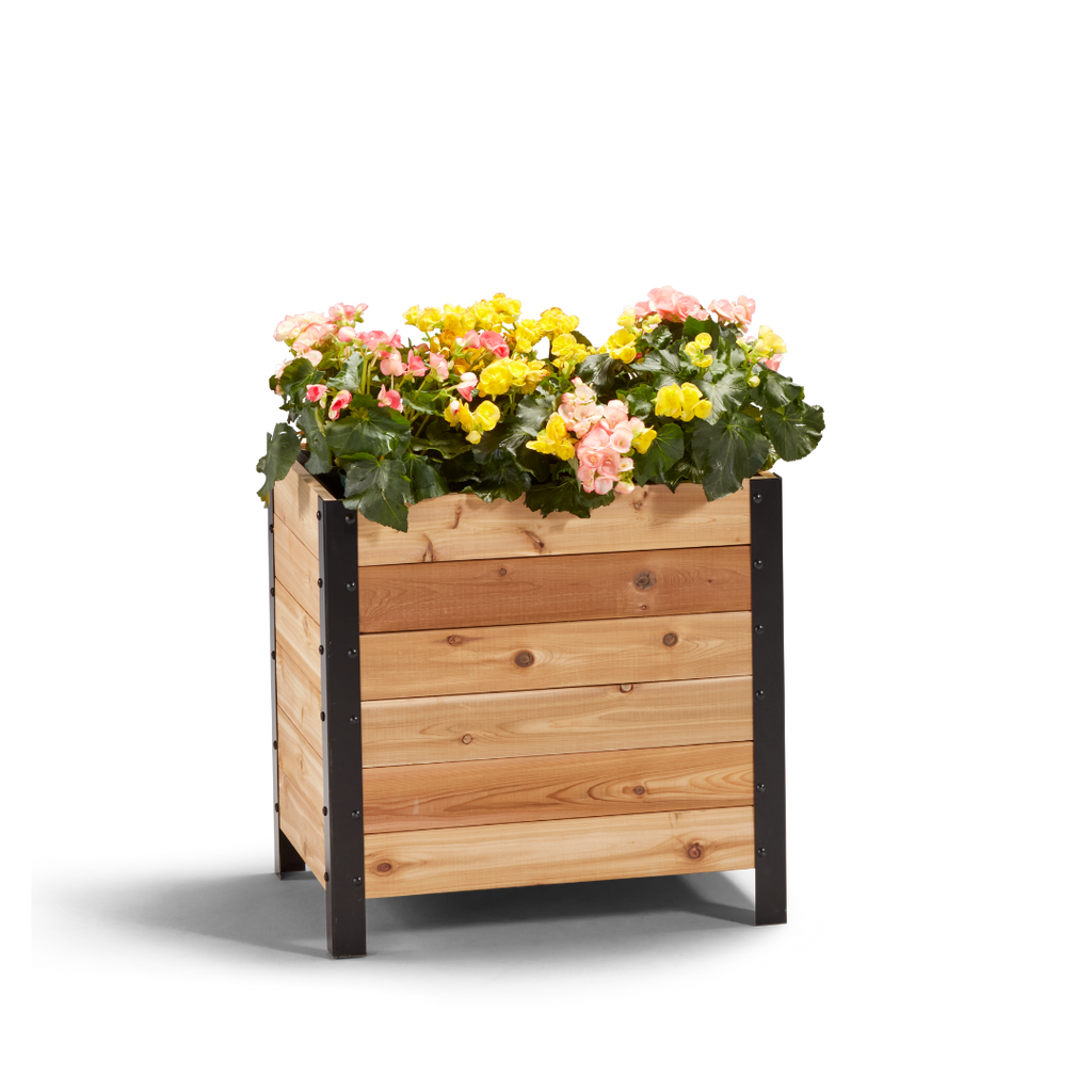 18″ x 24″ Deep Root Planter Box - 24″ TALL - Select Grade