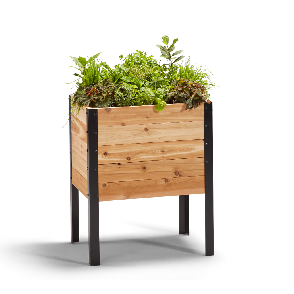 18″ x 24″ Deep Root Raised Garden Bed - 30″ TALL - Select Grade