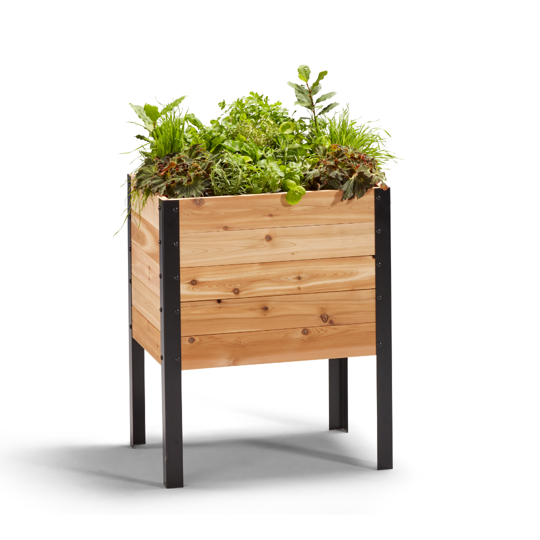 18″ x 24″ Deep Root Raised Garden Bed - 30″ TALL - Select Grade