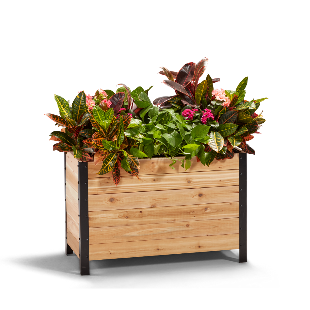 18″ x 36″ Deep Root Planter Box - 24″ TALL - Select Grade