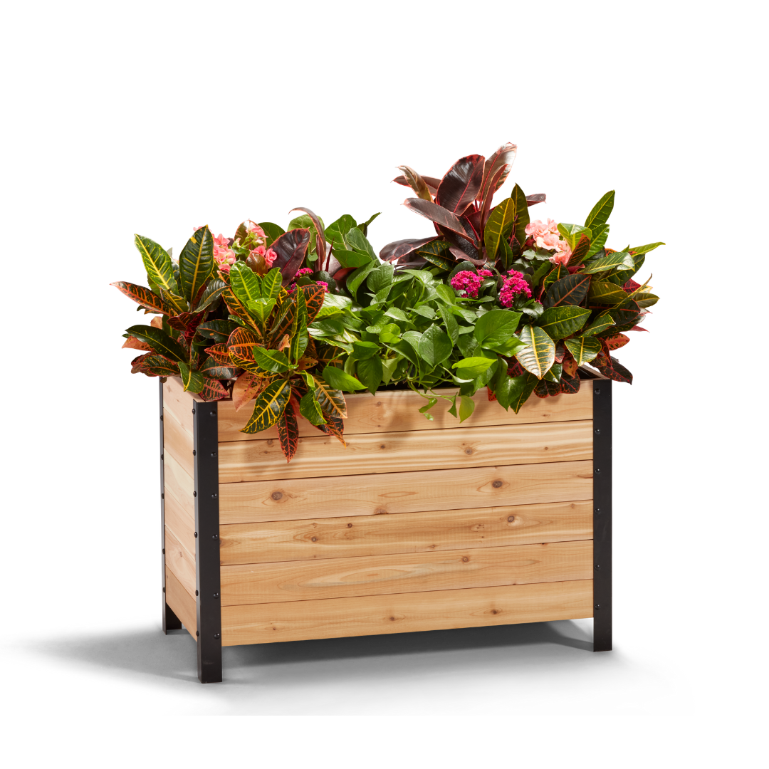 18″ x 36″ Deep Root Planter Box - 24″ TALL - Select Grade