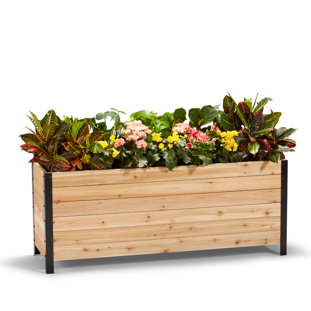 18″ x 60″ Deep Root Planter Box - 24″ TALL - Select Grade