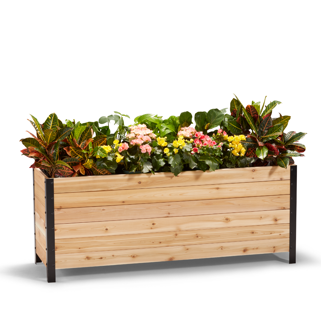 18″ x 60″ Deep Root Planter Box - 24″ TALL - Select Grade