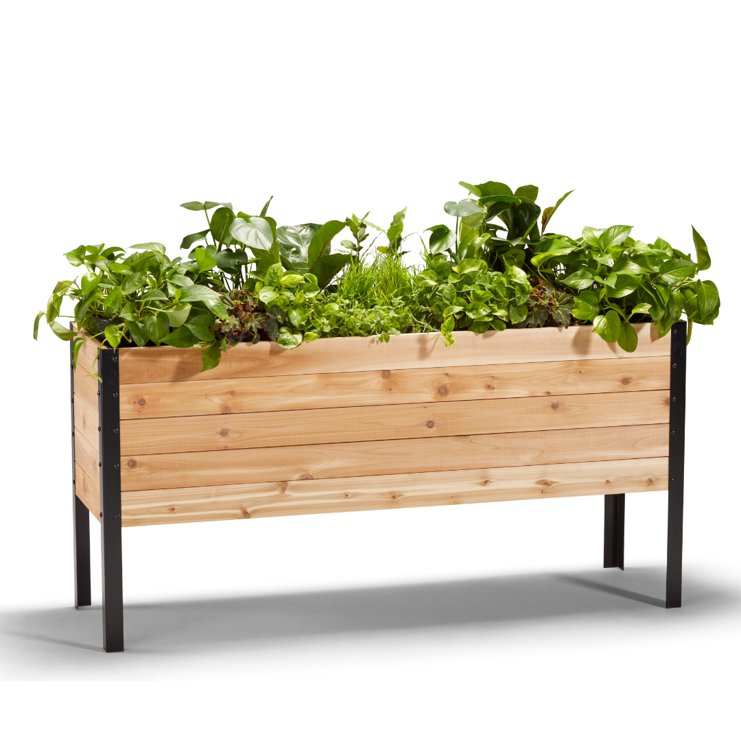 18″ x 60″ Deep Root Raised Garden Bed - 30″ TALL - Select Grade