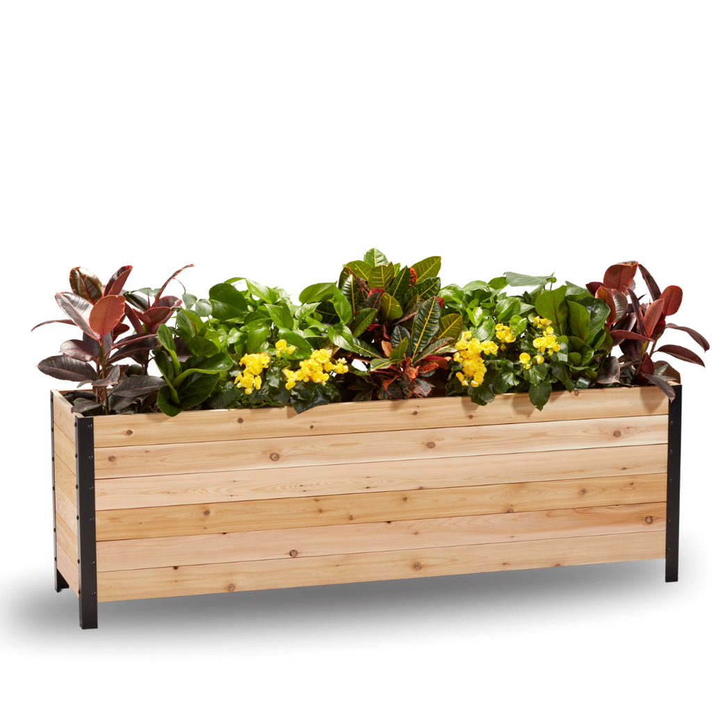 18″ x 72″ Deep Root Planter Box - 24″ TALL - Select Grade