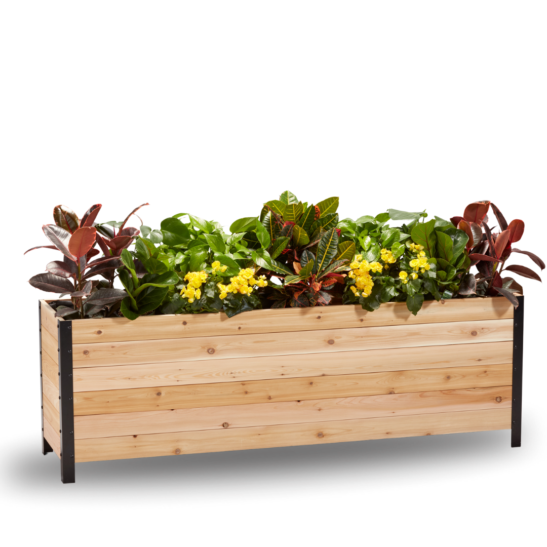 18″ x 72″ Deep Root Planter Box - 24″ TALL - Select Grade